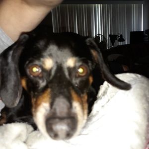 Meet your Posher, Carla